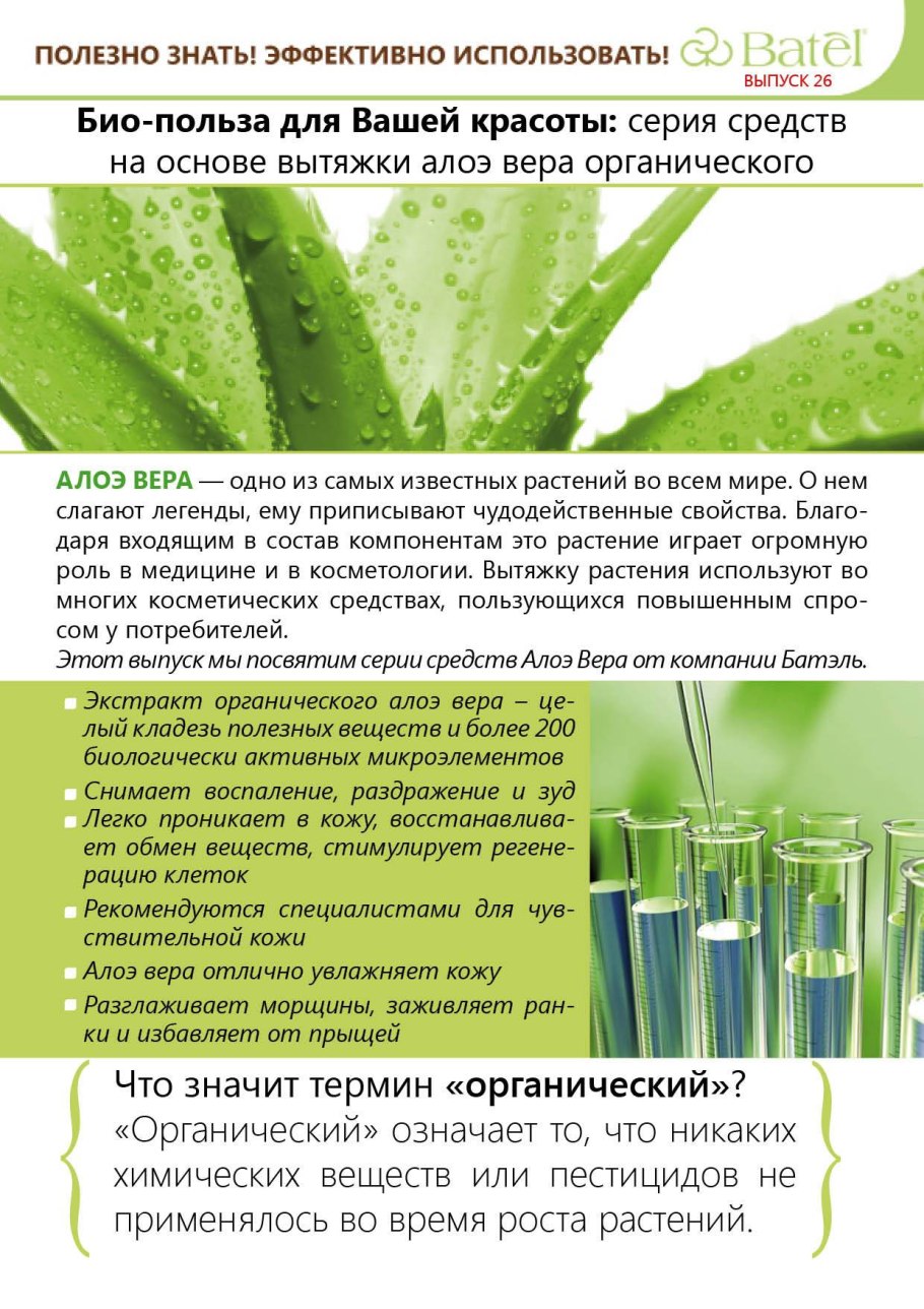 Форма листа алоэ