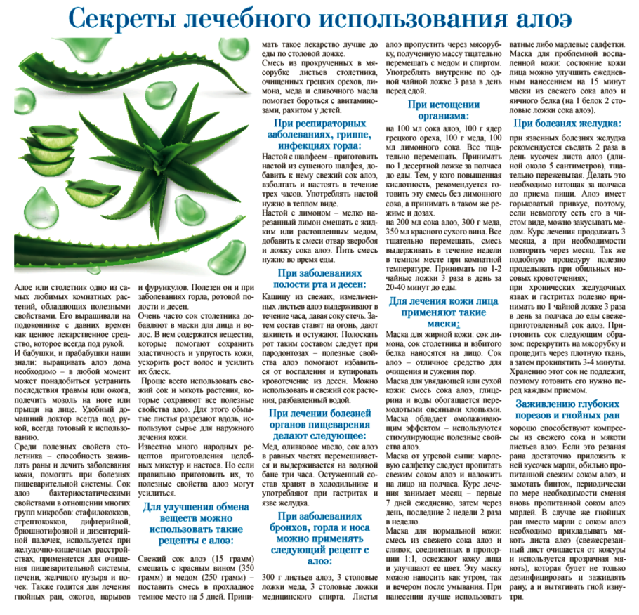 Алоэ Вера корни