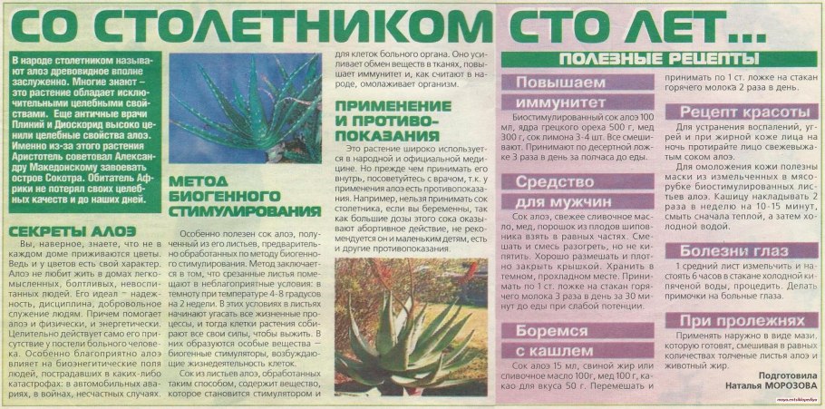 Алоэ Вера размножение листом