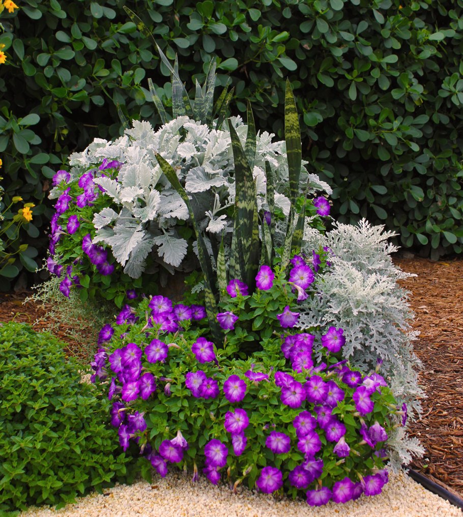 Цветники в контейнерах