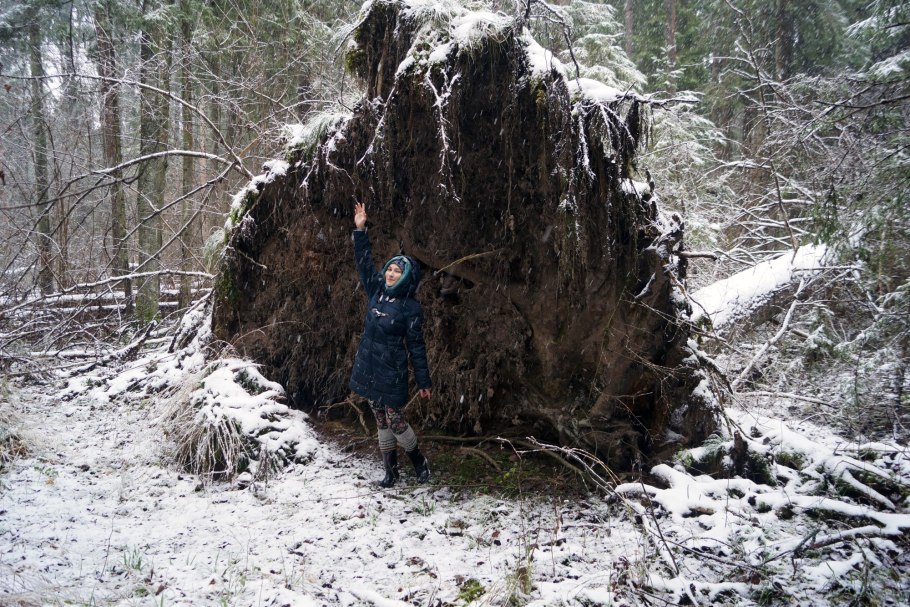 Замшелые развалины в лесу