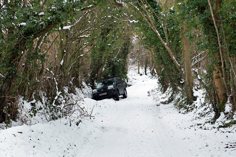 Тайга бурелом, валежник