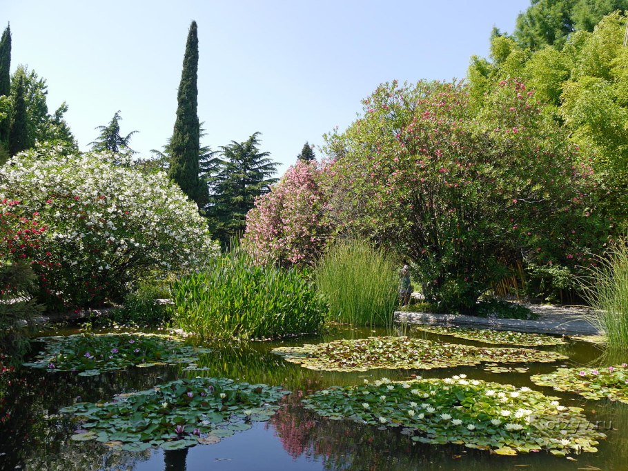 Дендрологический парк Южные культуры Сочи
