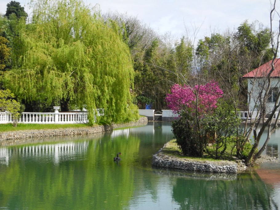 Южные культуры Адлер