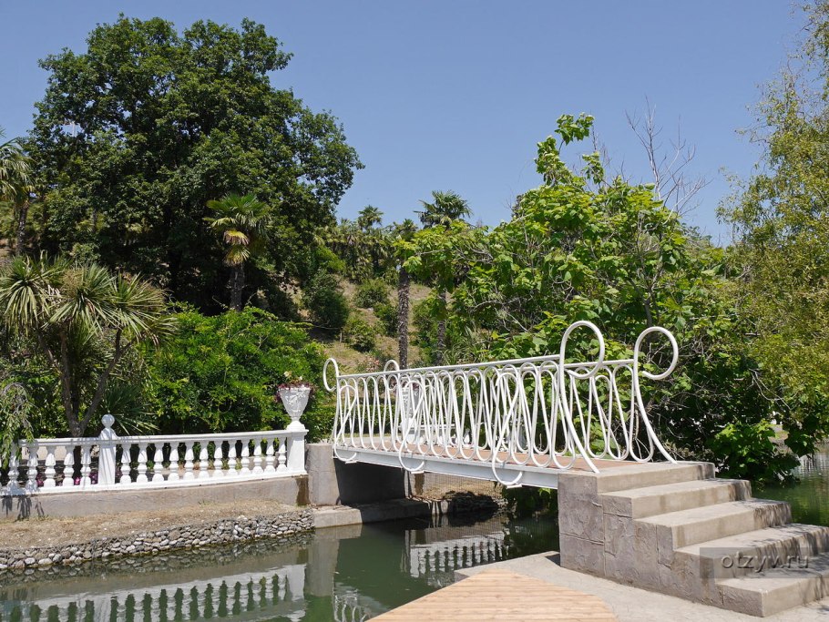 Дендропарк Южные культуры в Адлере