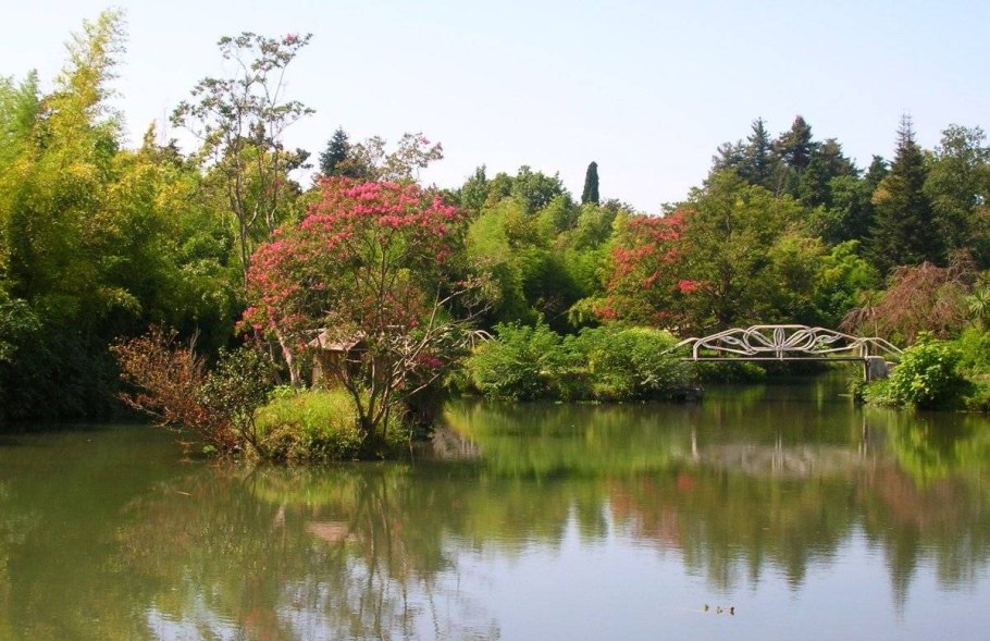 Дендрологический парк Южные культуры Сочи