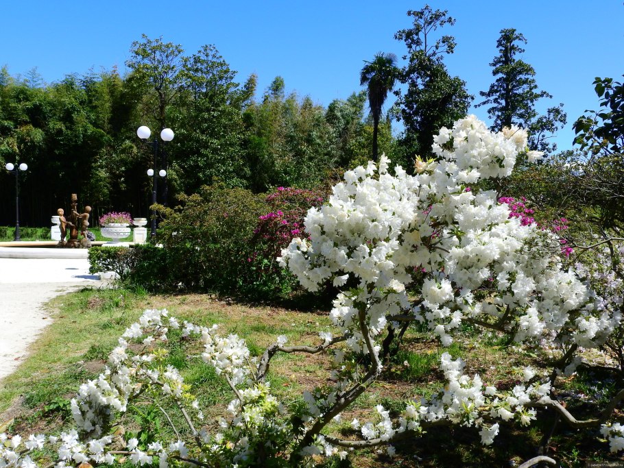 Совхоз Южные культуры Адлер