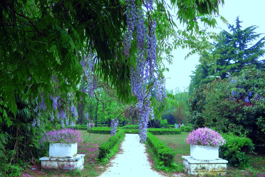 Дендропарк Южные культуры в Адлере