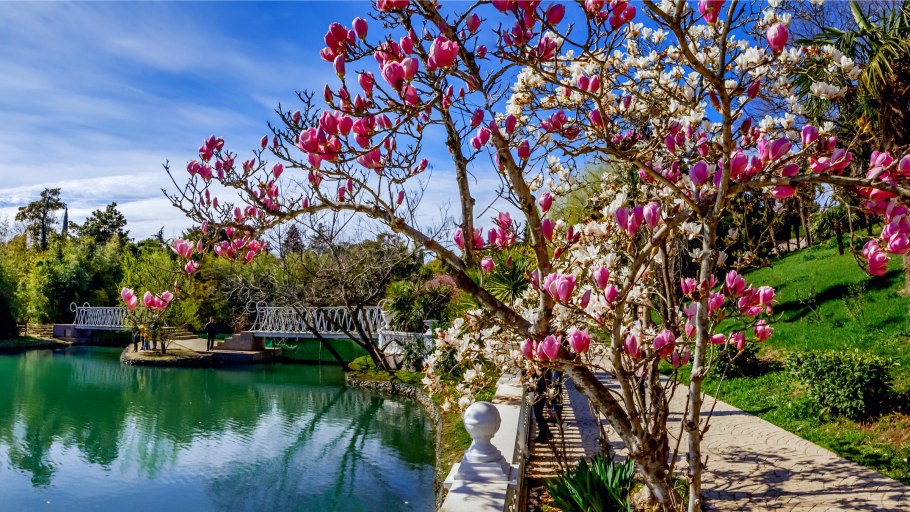 Парк культуры Адлер март