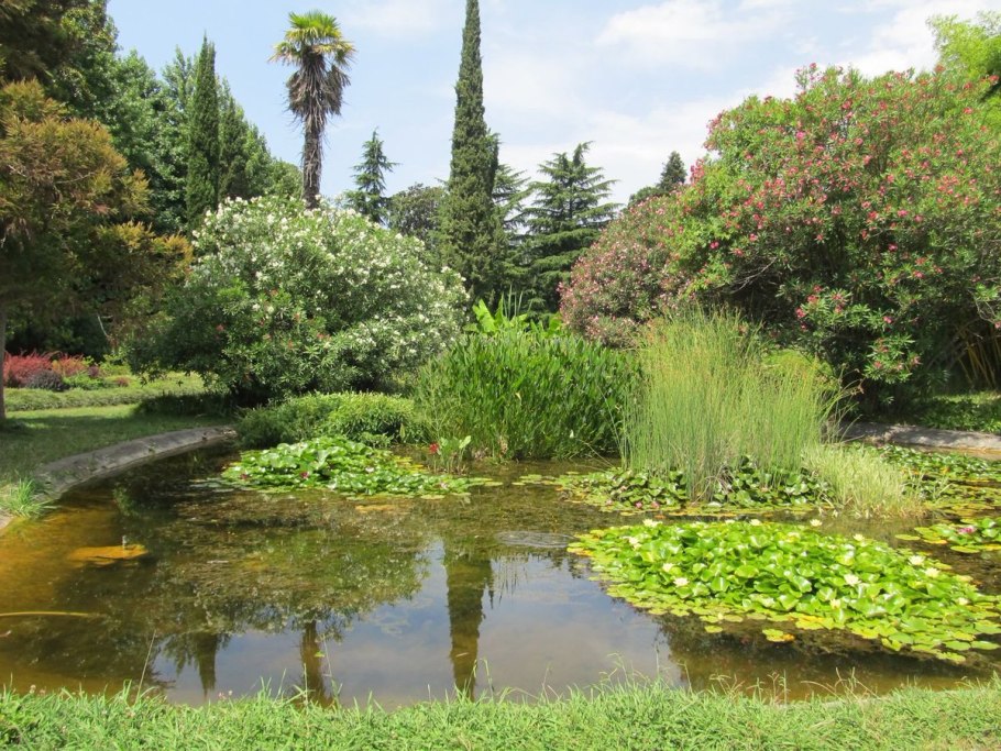 Дендрологический парк Южные культуры Сочи