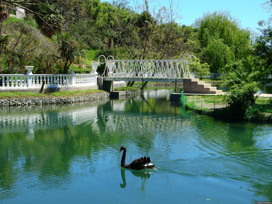 Дендропарк Южные культуры в Адлере