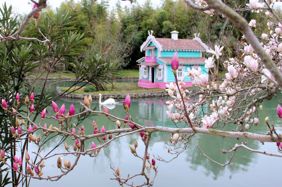 Парк Южные культуры Адлер