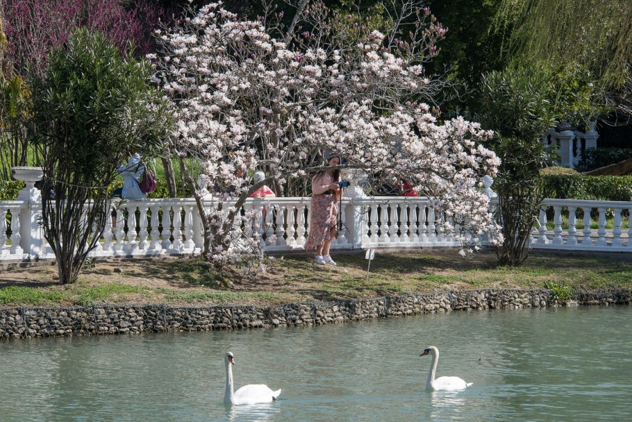 Мексиканская горка парк Южные культуры