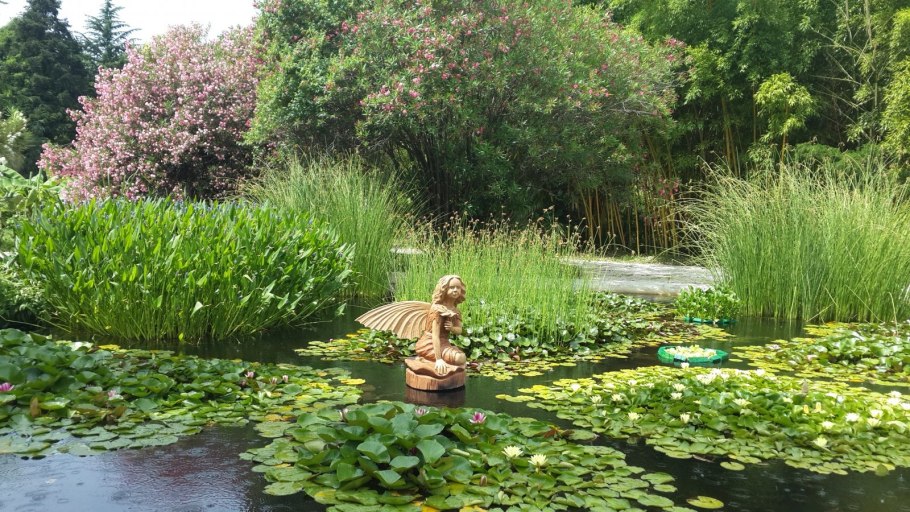 Дендропарк Южные культуры Сочи