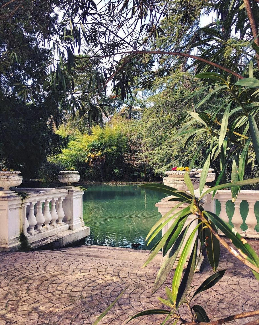 Парк южные культуры адлер