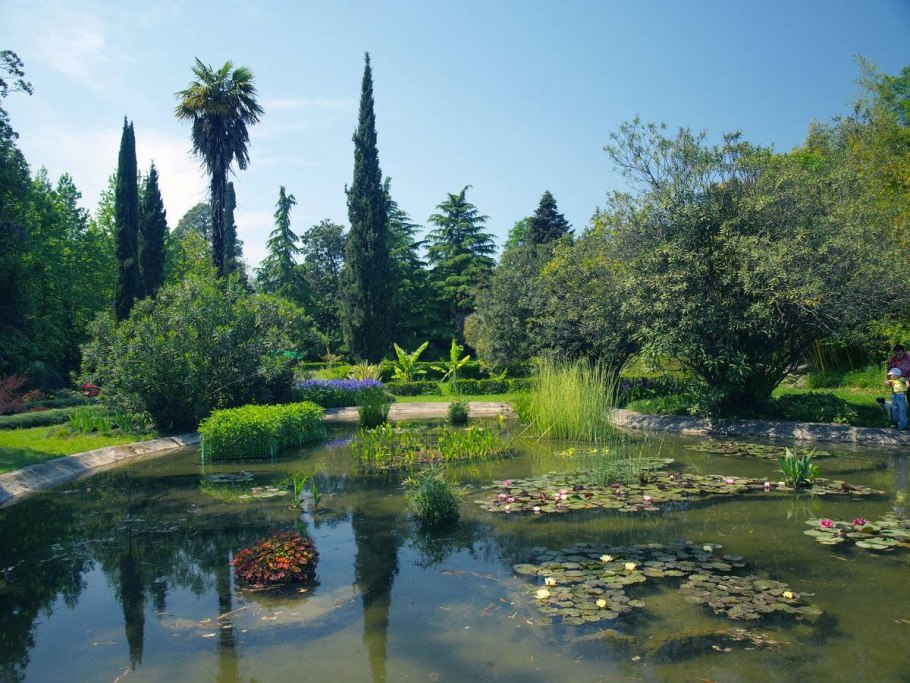 Дендропарк Южные культуры в Адлере