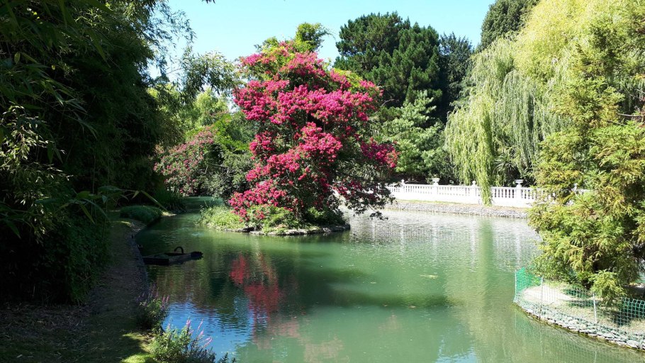 Дендрологический парк Южные культуры Адлер