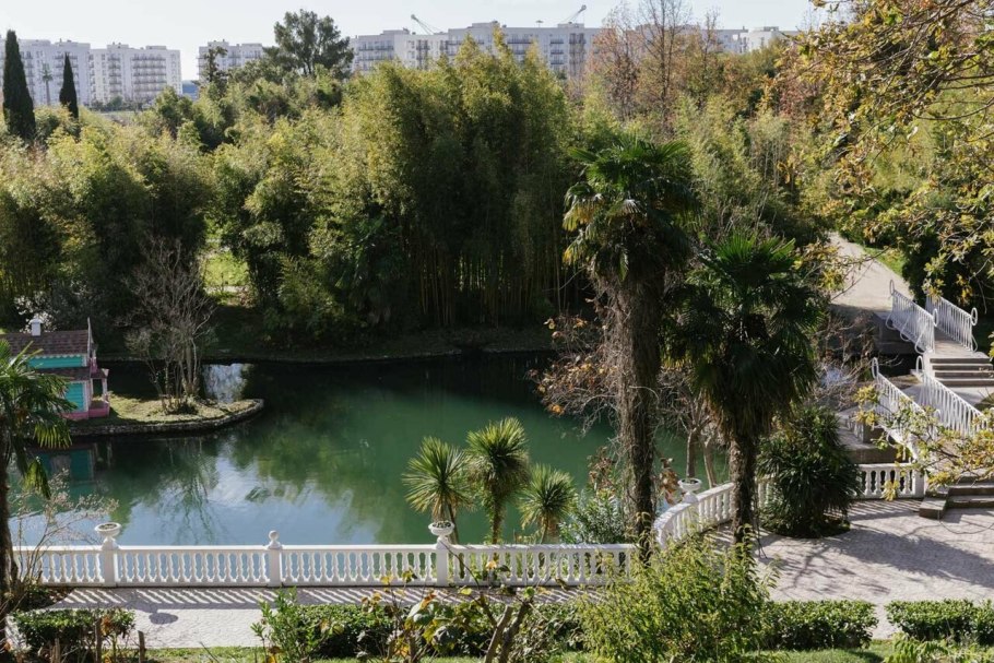 Парк Южные культуры Адлер