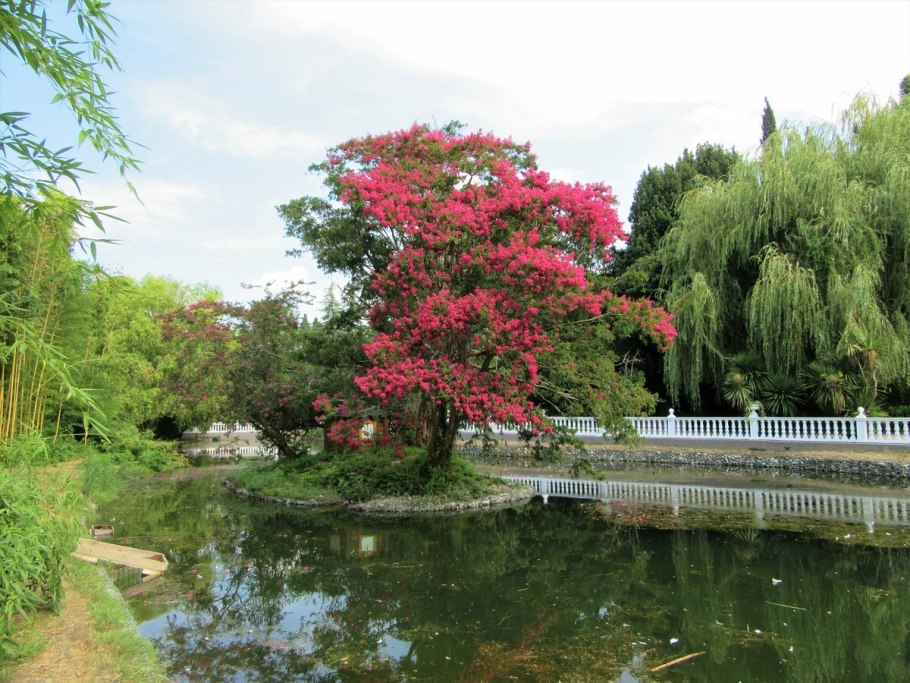 Дендрологический парк Южные культуры Сочи