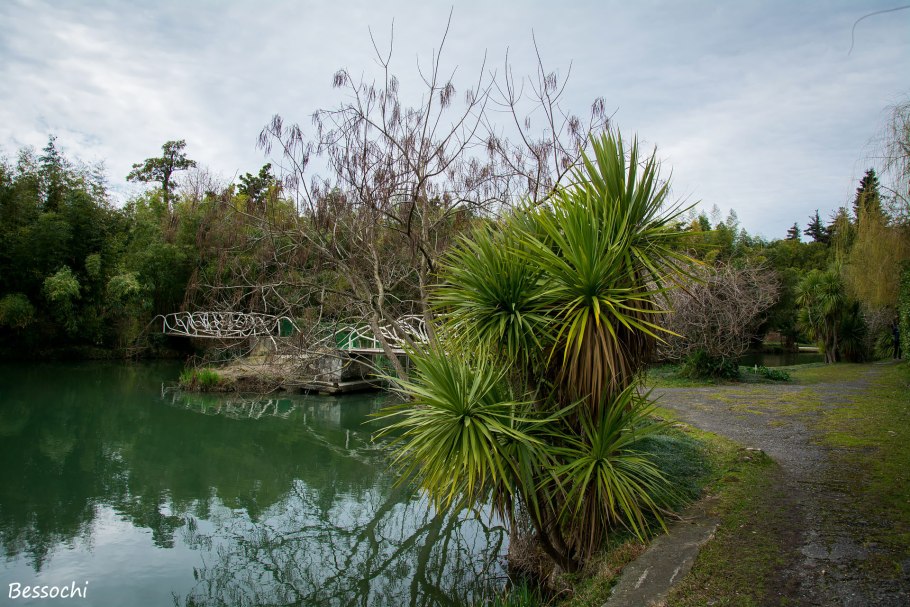 Парк Южные культуры Сочи