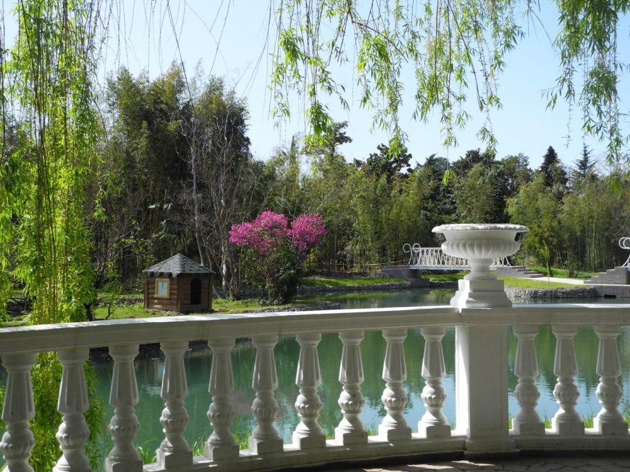 Дендропарк южные культуры в адлере