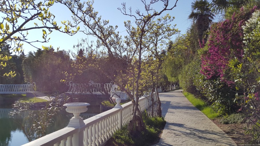 Парк южные культуры адлер весной