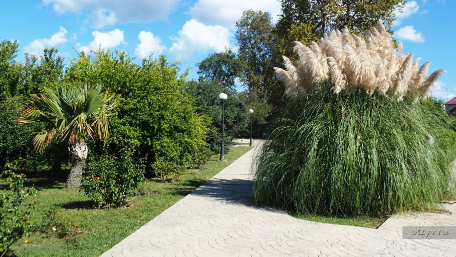 Дендрологический парк Южные культуры Сочи