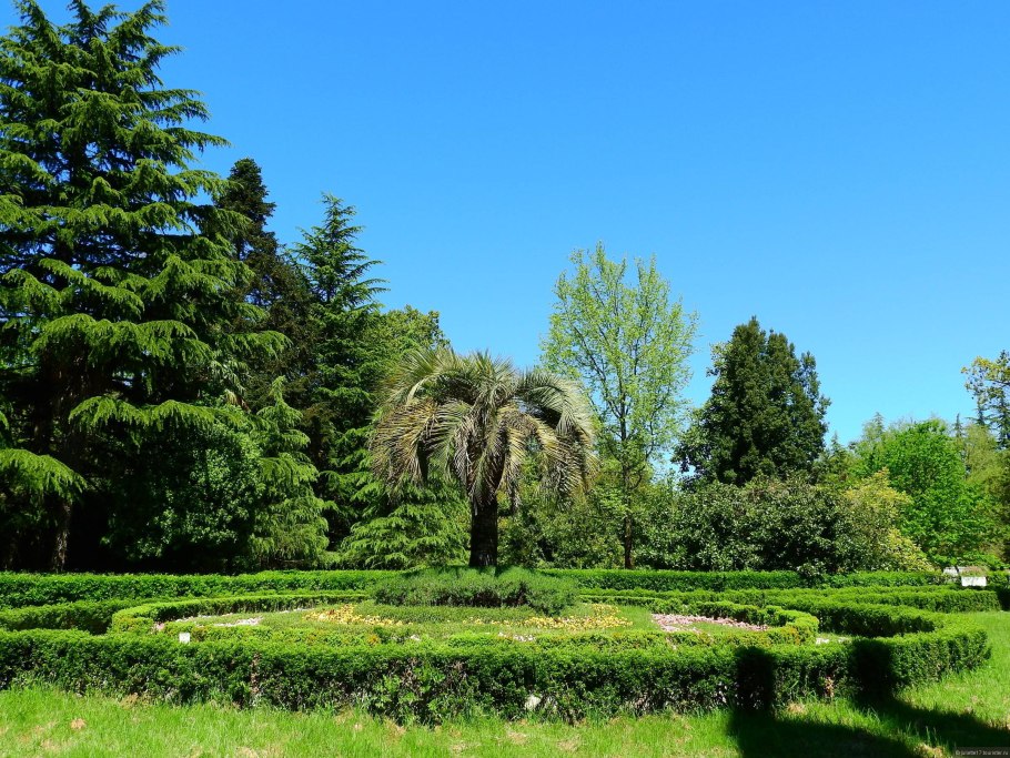 Дендропарк Южные культуры в Адлере