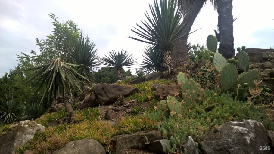 Сочинский Дендрарий