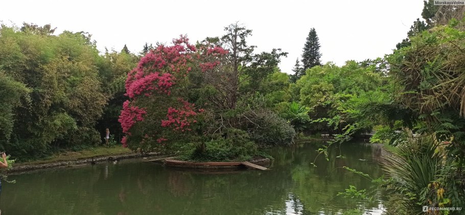 Дендропарк Южные культуры в Адлере