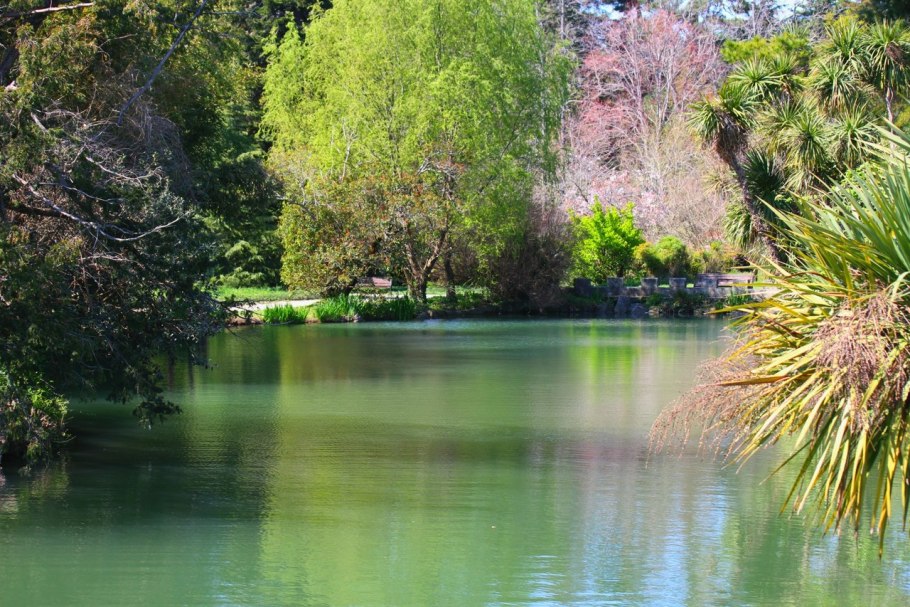 Парк Южные культуры зимой