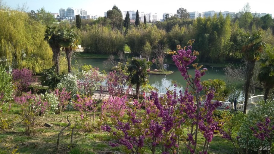 Цветы в парке южных культур Адлер