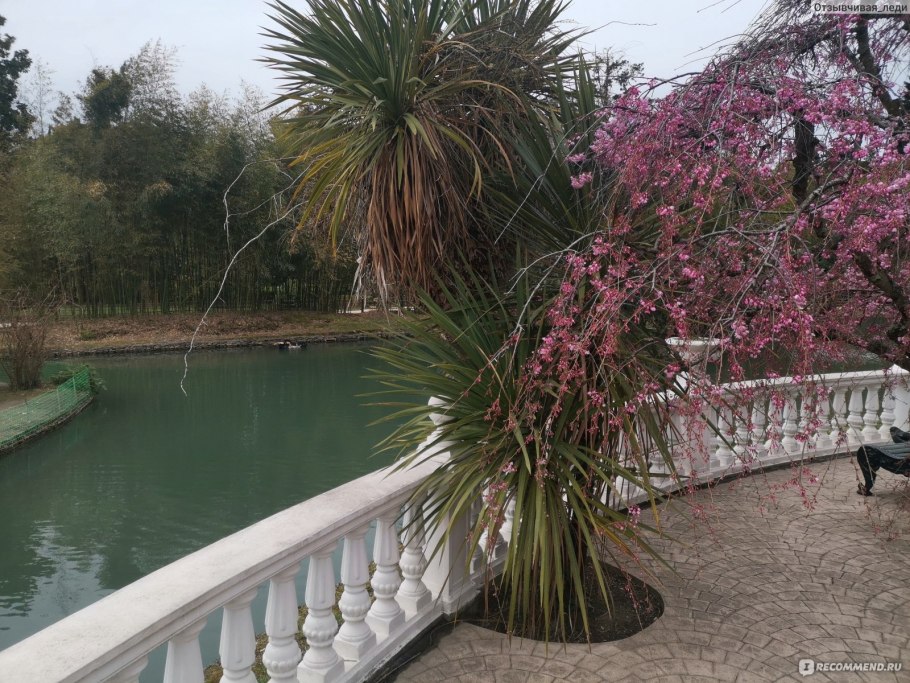 Парк Южные культуры Адлер