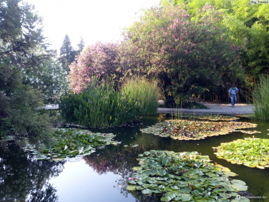 Парк Южные культуры Сочи Адлер