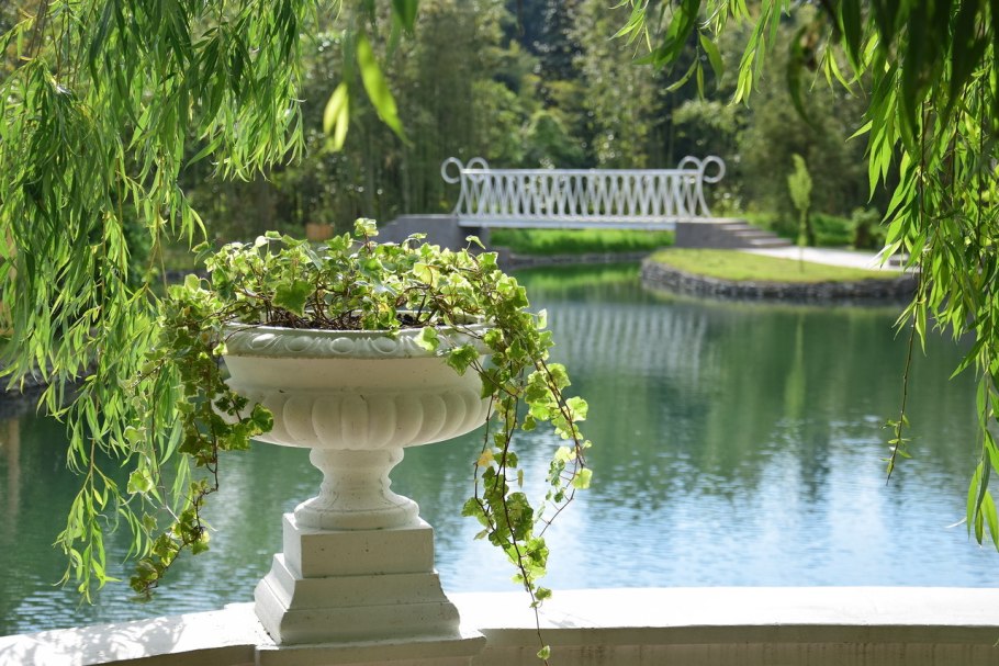 Парк Южные культуры Имеретинка