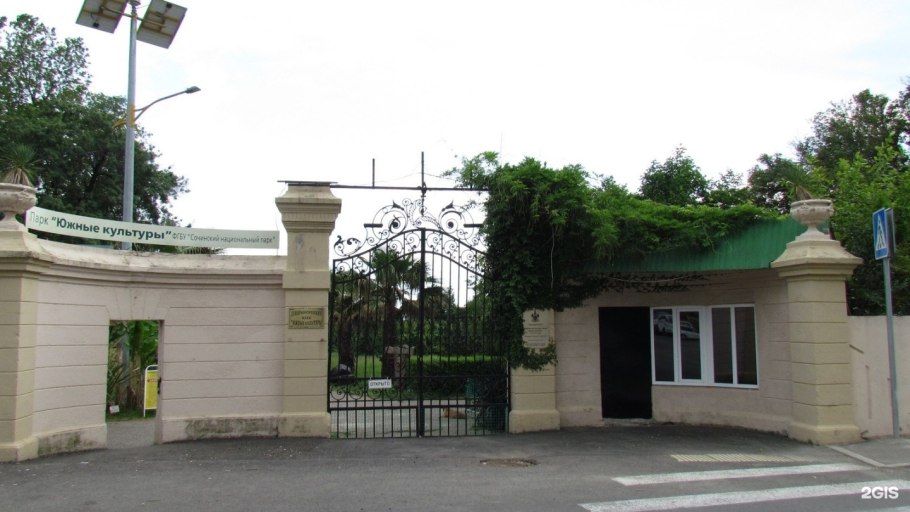 Дендрологические культуры Сочи