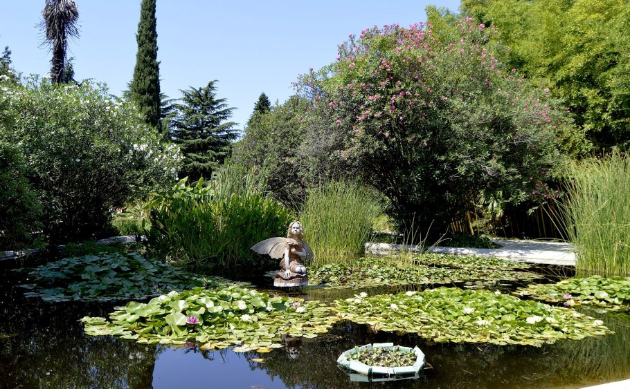 Парк Южные культуры Сочи