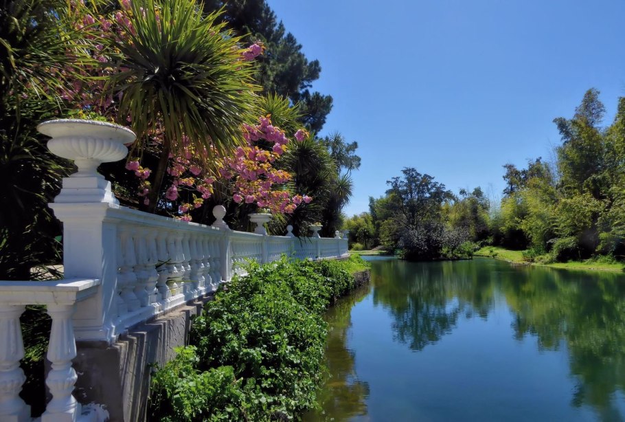 Дендрарий адлер южные культуры