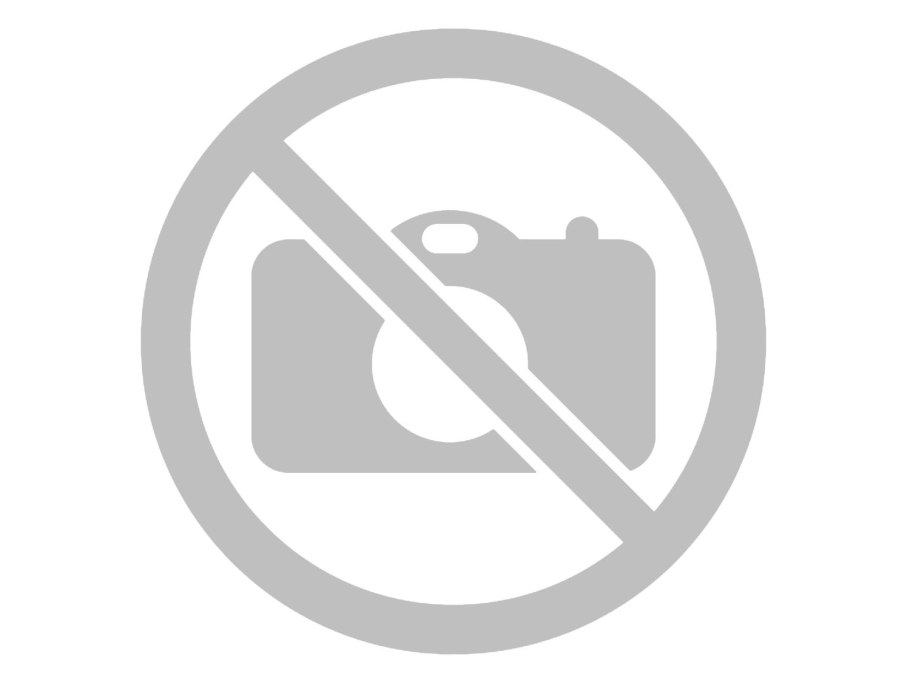 Строение побега голосеменных