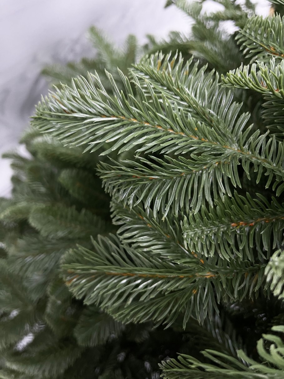 Star trading Ottawa led 2.1 Black