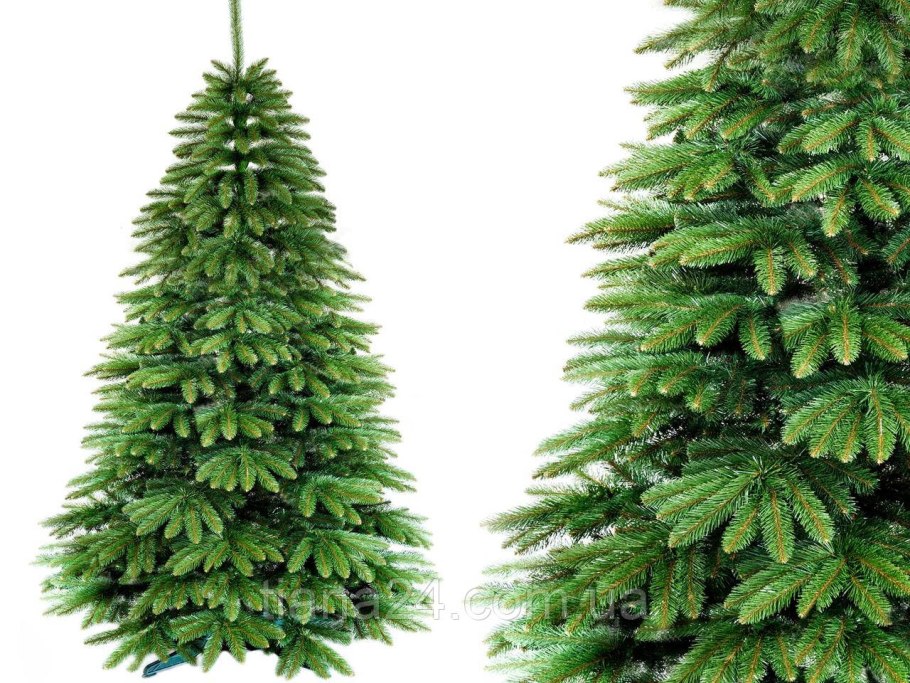 Ель коттеджная Black Box 230