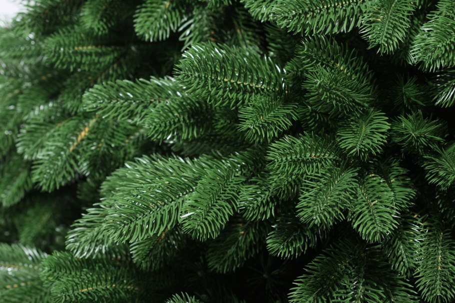 Ель Роксана 270см