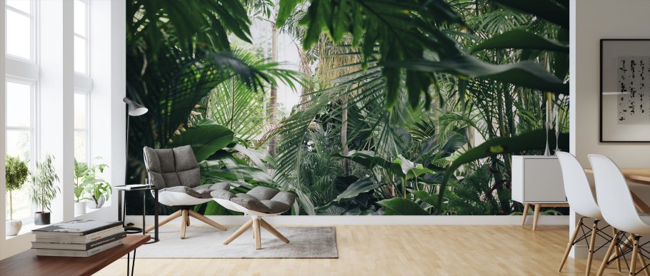 Монстера Делициоза