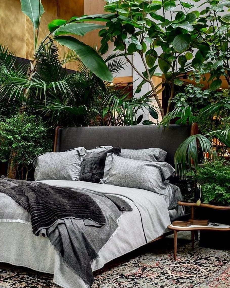 Аффреско листья тропические