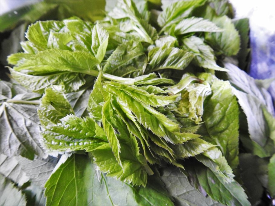 Фотосессия в высокой траве