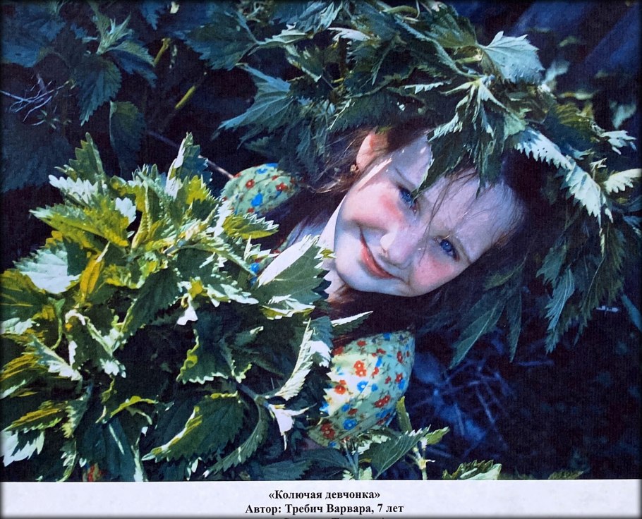 Клеофия Сильвер модель 2019