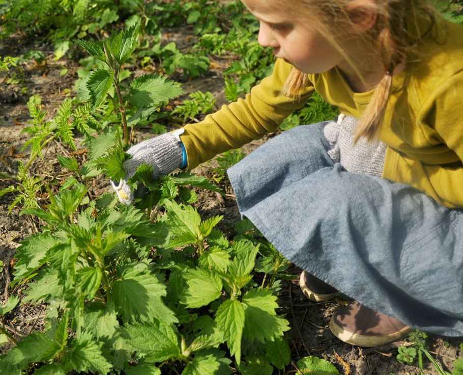 Фитофарм листья крапивы ф/п 1,5 г №20