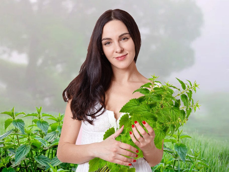 Сныть детокс