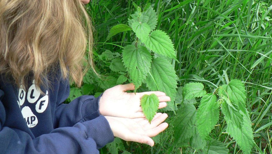 Анастасия Крапивная