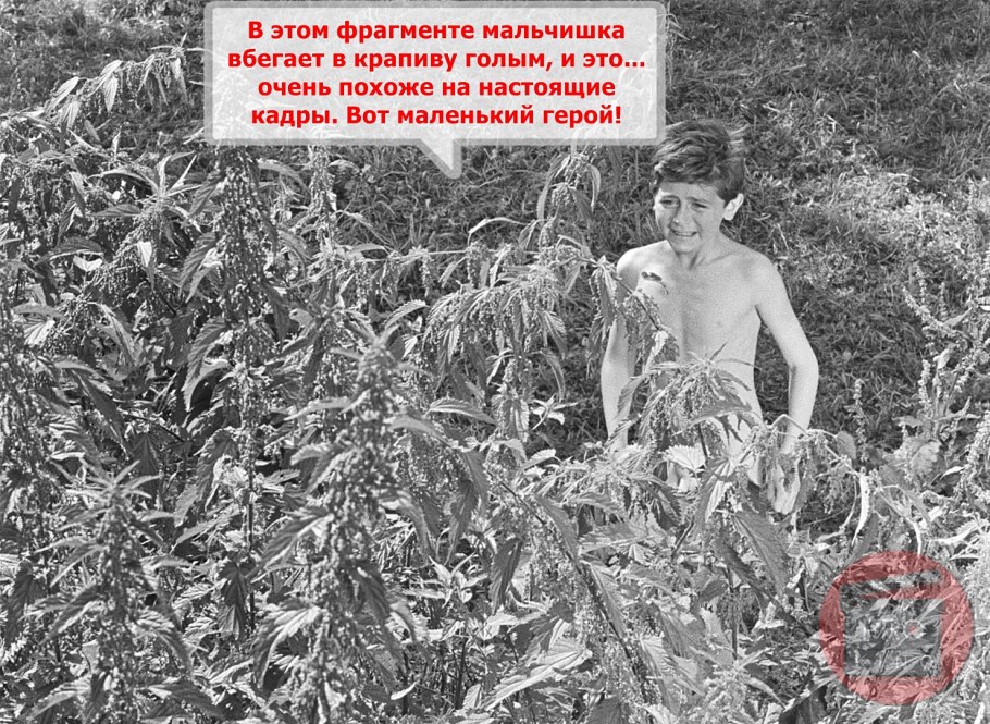 Каравелла ганджа